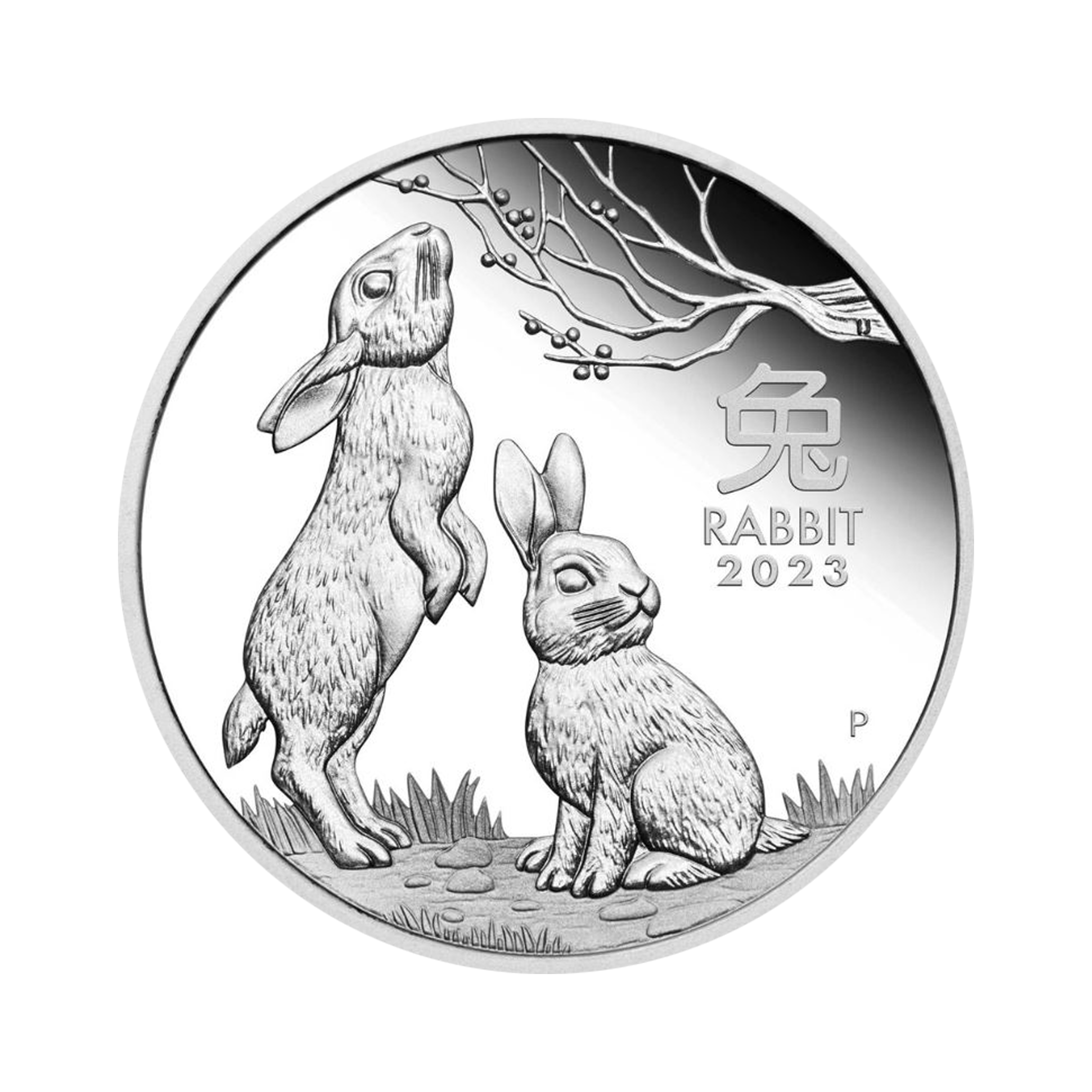 1/2 troy ounce silver coin Lunar 2023 proof
