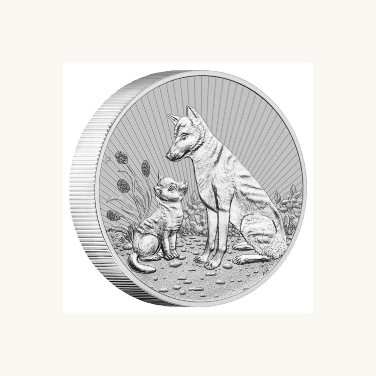10 troy ounce zilveren munt Piedfort Dingo - volgende generatie 2022 