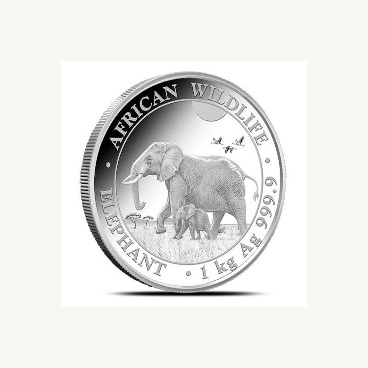 1 kilo zilveren munt Somalische Olifant 2022