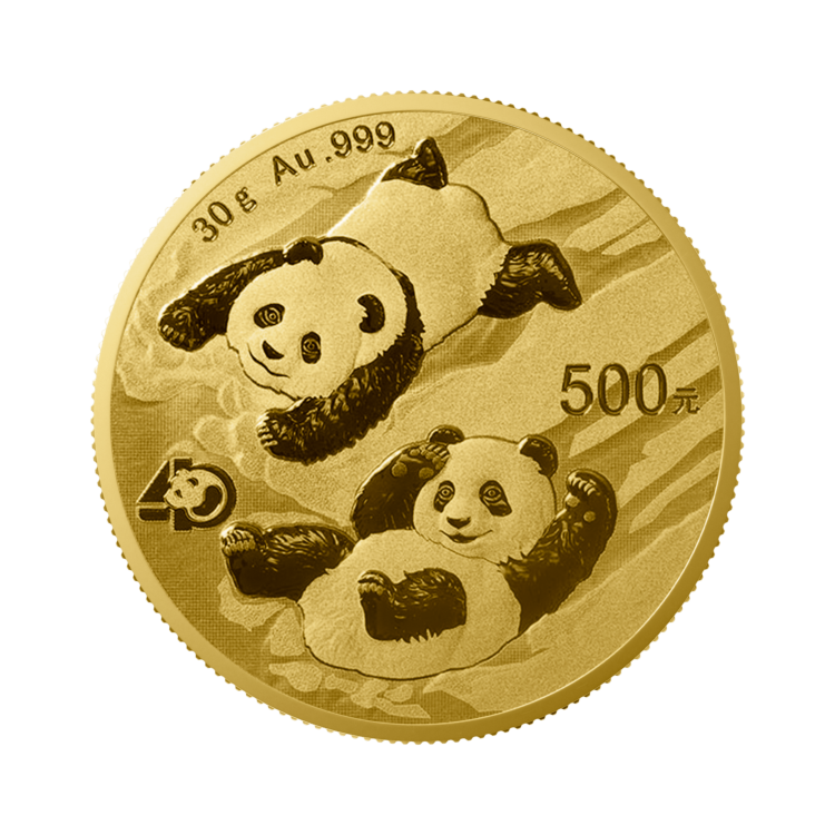 Ontwerp 30 gram gouden panda munt