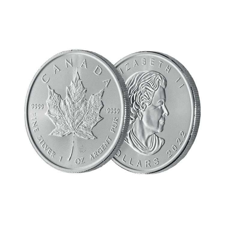 Monsterbox met 500 zilveren Maple Leaf munten
