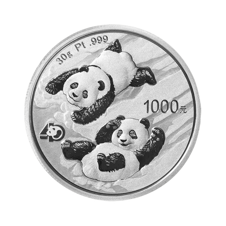 Design panda coin