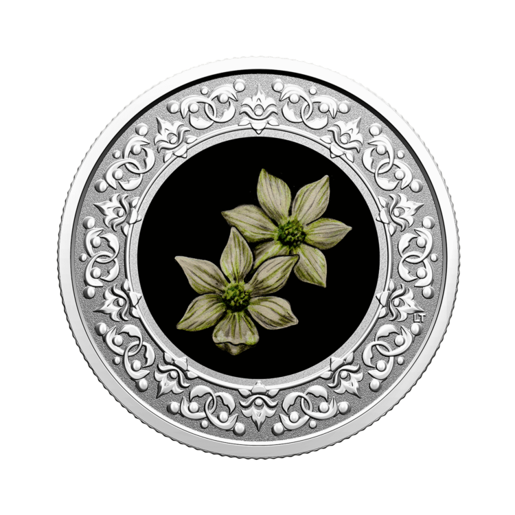 Zilveren munt Bloemenemblemen van Canada Pacific Dodgewood
