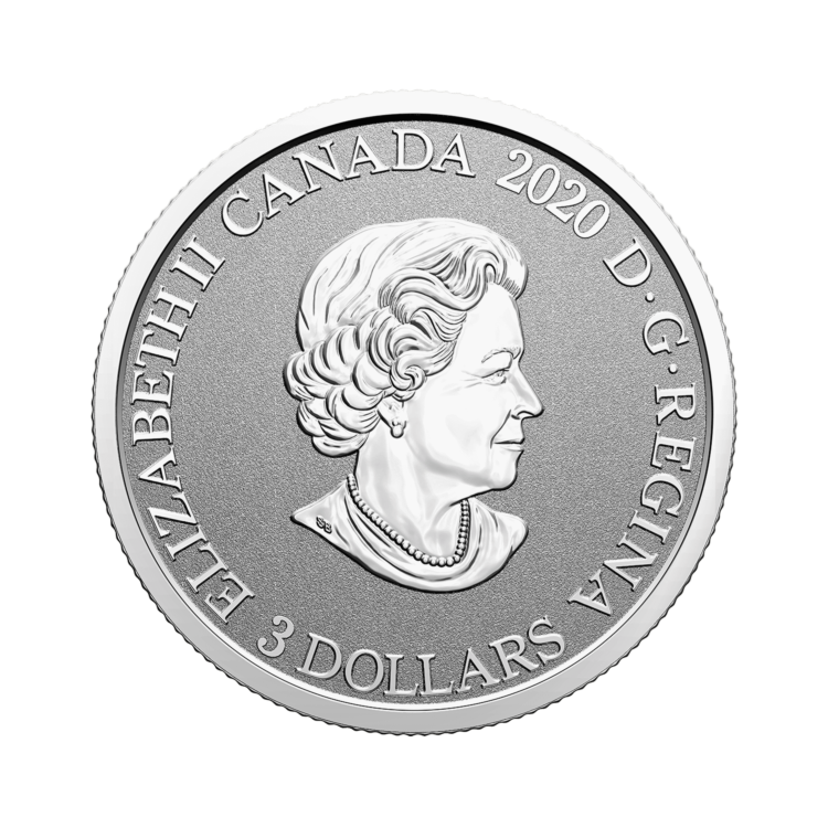 Achterkant zilveren munt Mayflower Canada