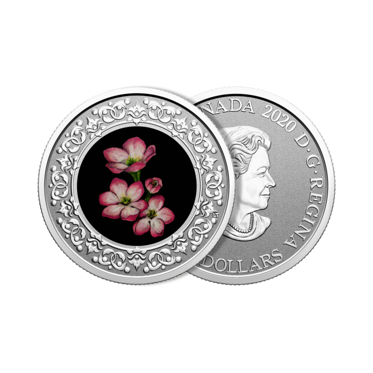 Bloemenemblemen van Canada Mayflower zilveren munt