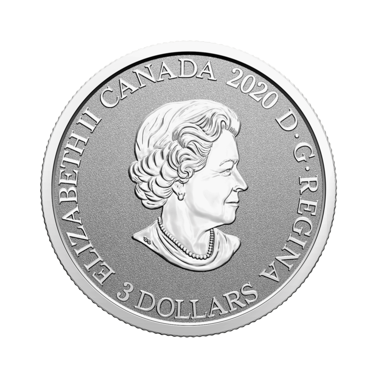 Design zilveren Saskatchewan munt