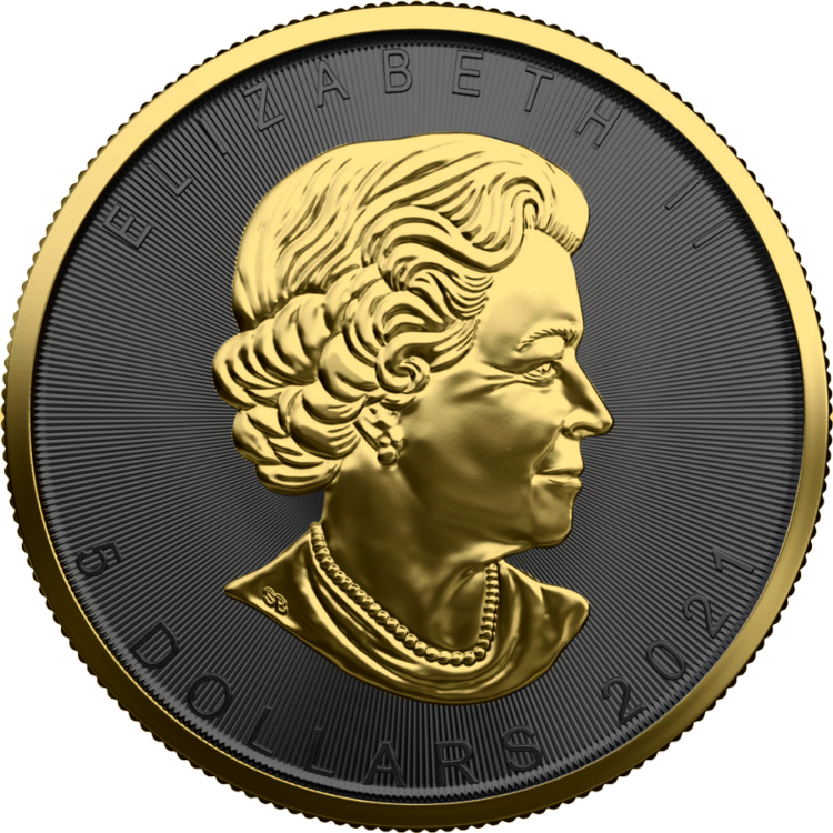 1 Troy ounce zilveren munt Golden Ring - Maple Leaf 2021