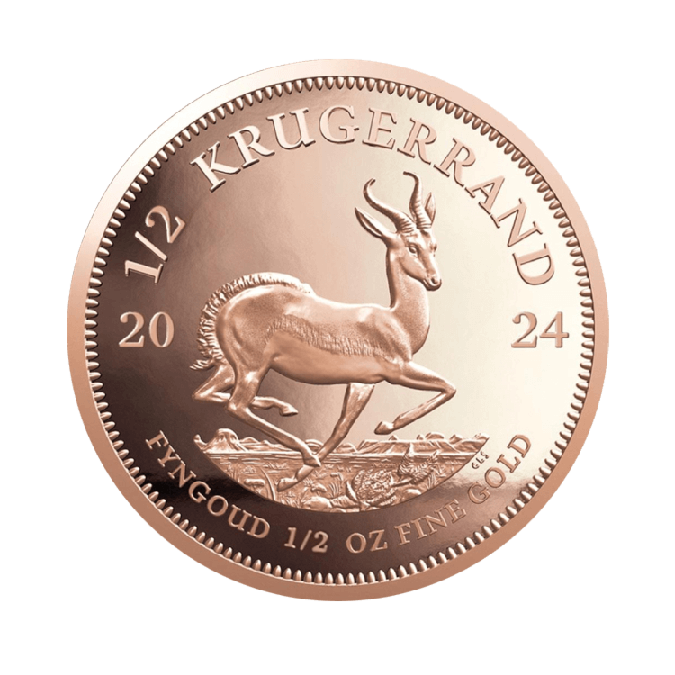 Voorzijde van de 1/2 troy ounce gouden Krugerrand uit 2024 in proof kwaliteit
