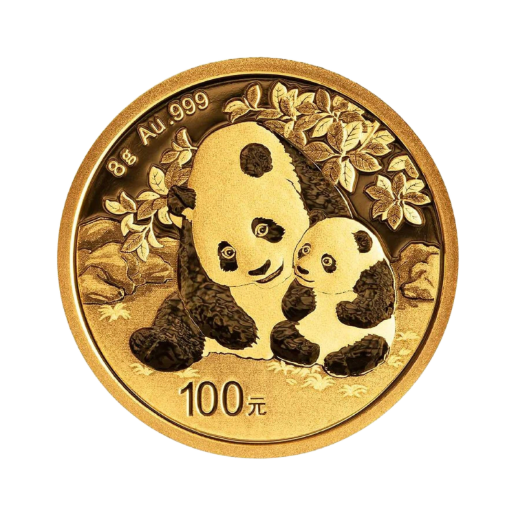 8 gram gouden munt Panda 2024 voorkant