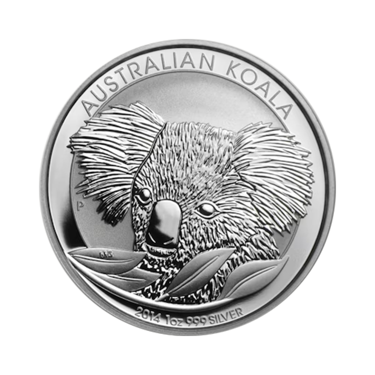 Australian Koala 2014