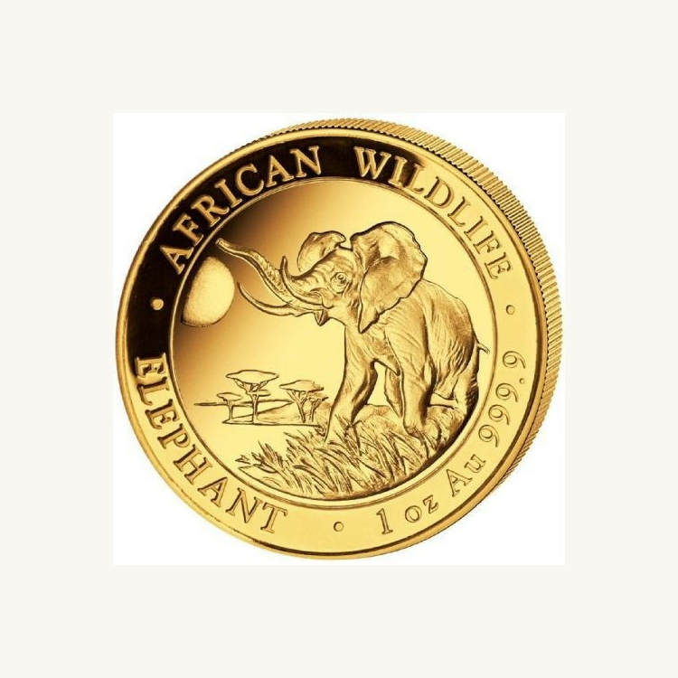 1 Troy ounce gouden munt Somalische Olifant 2016