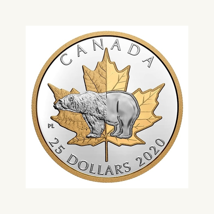 Zilveren munt ijsbeer 2020 proof