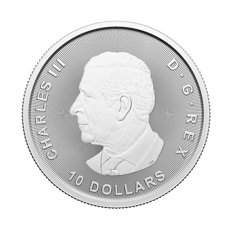 Achterkant van de 2 troy ounce zilveren munt Ice Age 2024
