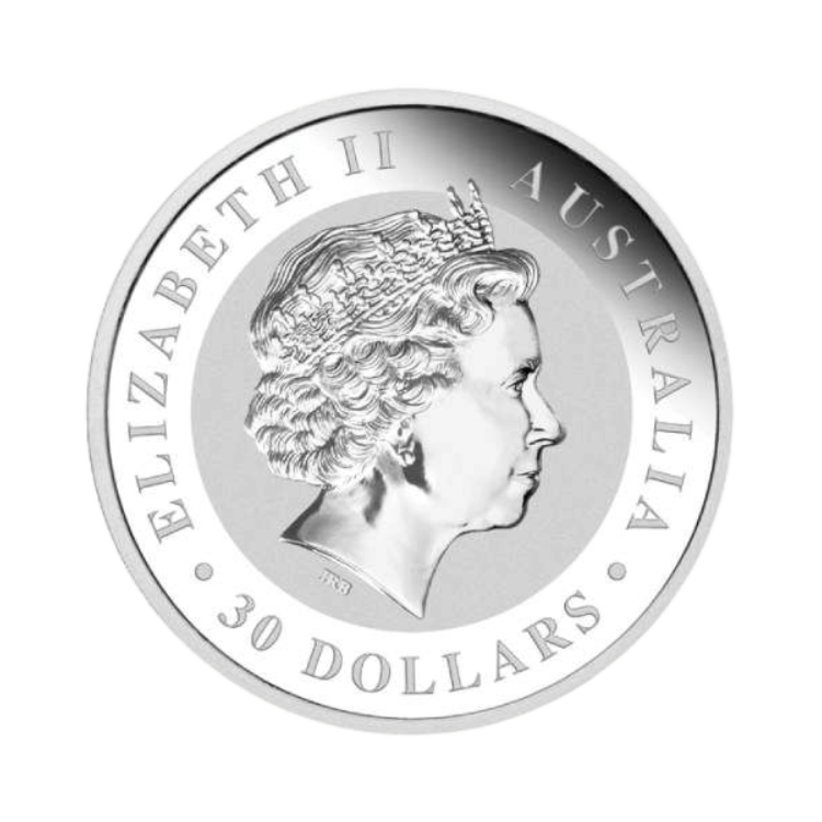 Achterzijde 1 kilo zilveren Koala munt 2010