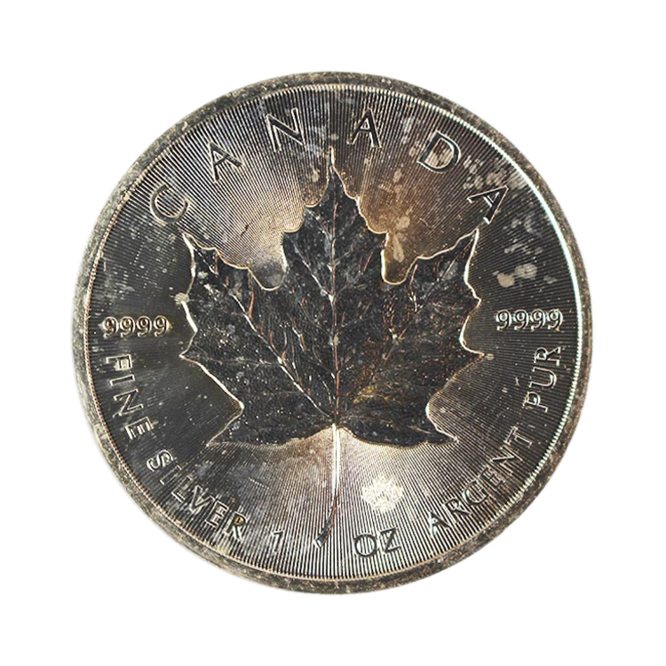 Zilveren Maple Leaf Circulated voorkant