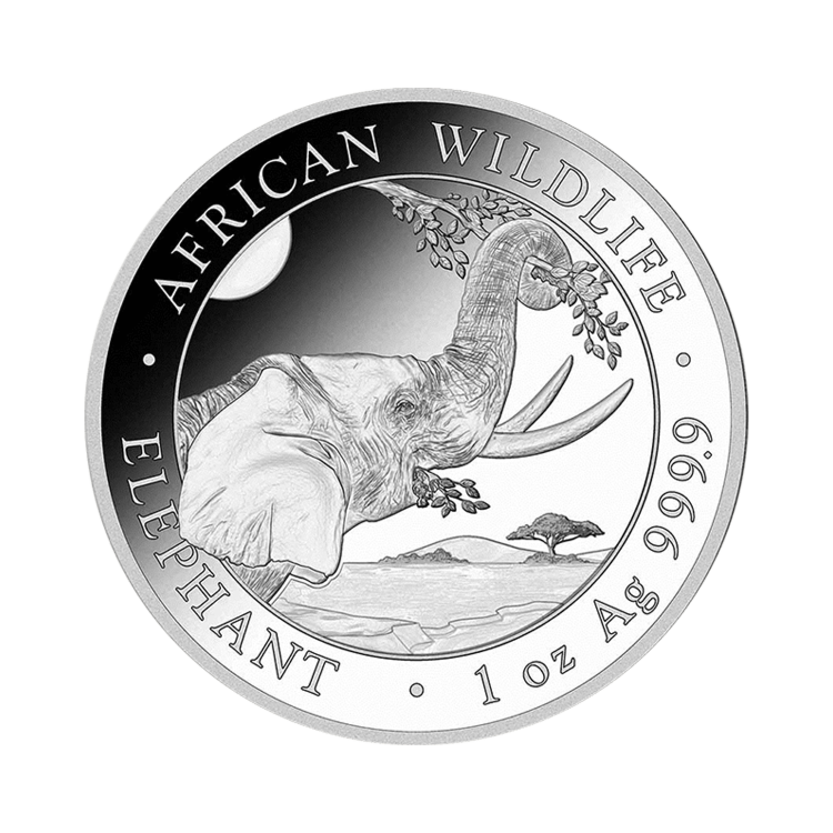 1 troy ounce zilveren African Wildlife Somalische Olifant munt 2023 voorkant