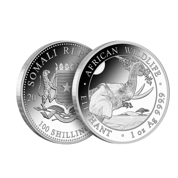 1 troy ounce zilveren African Wildlife Somalische Olifant munt 2023 The Silver Mountain