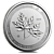 10 Troy ounce silver coin Magnificent Maple Leaf 2019 