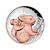5 troy ounce silver coin Koala gilded 2023 proof