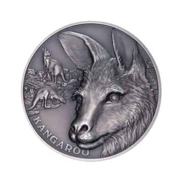 1 troy ounce zilveren munt Up close kangaroo 2021