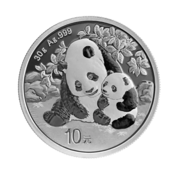 30 gram silver Panda 2024