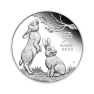 1/2 troy ounce zilveren munt Lunar 2023 proof voorkant