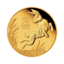 1/4 troy ounce gold coin Lunar 2023 proof front