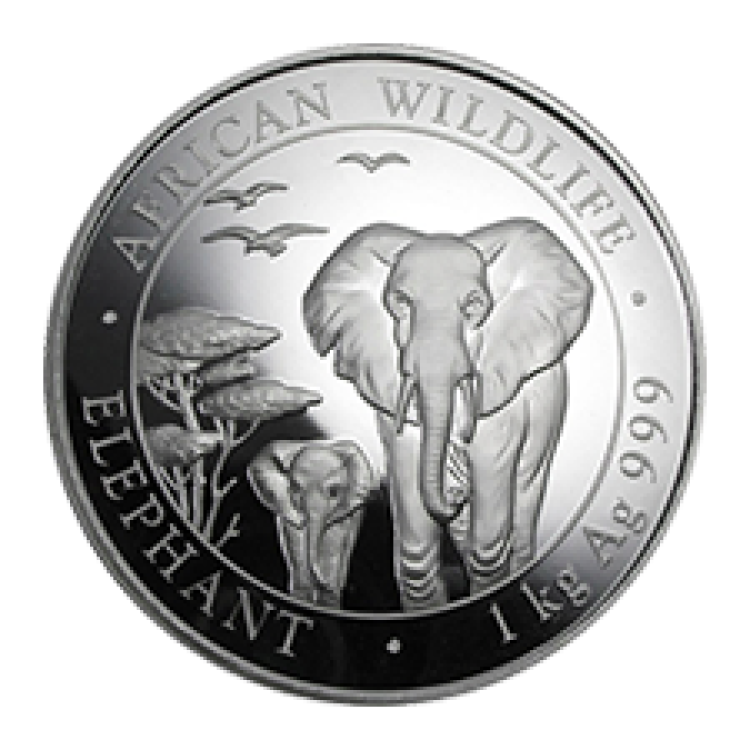 1 Kilo silver coin Somalia Elephant 2014 front