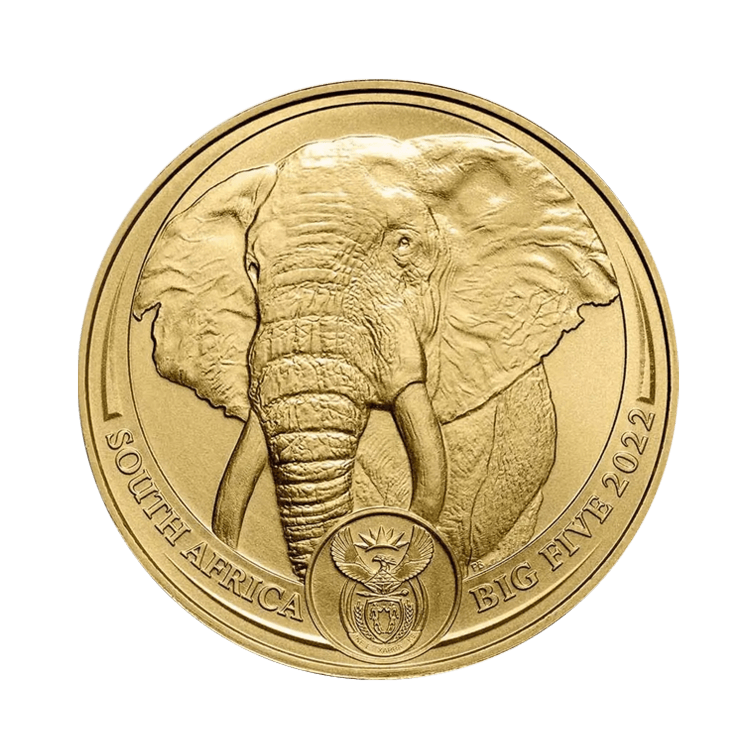 1 troy ounce gouden munt Big Five Olifant 2023 voorkant