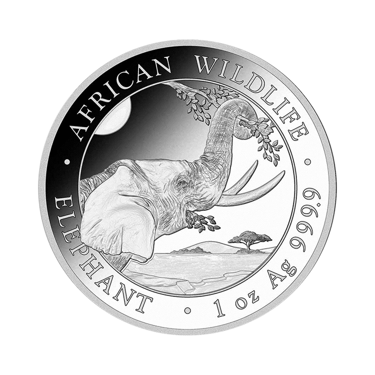1 troy ounce zilveren African Wildlife Somalische Olifant munt 2023 voorkant