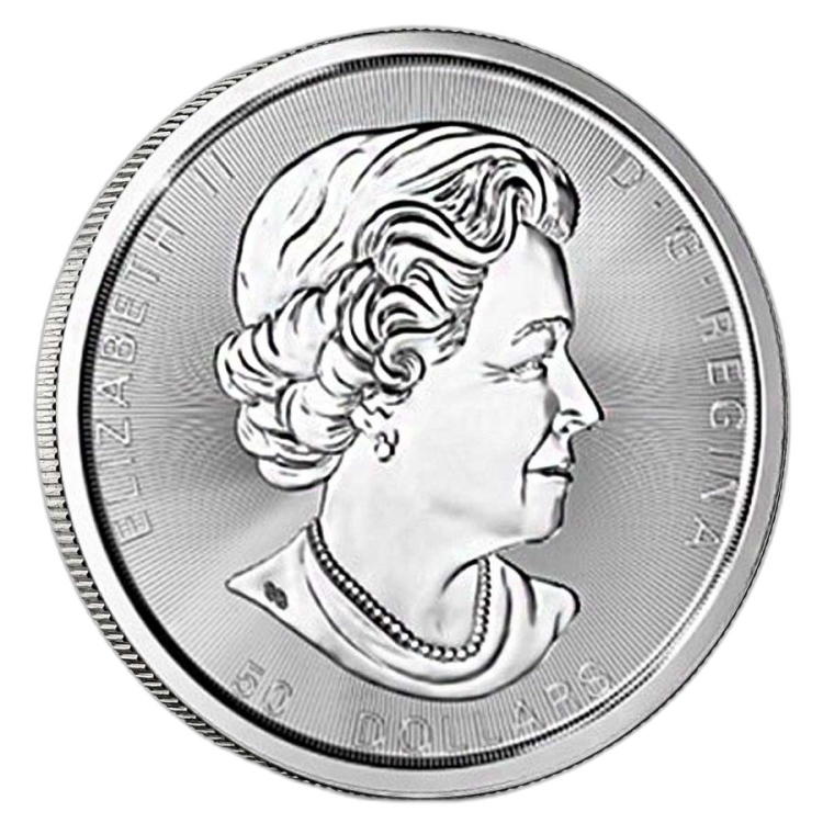 10 Troy ounce zilveren Tree Of Life munt achterkant