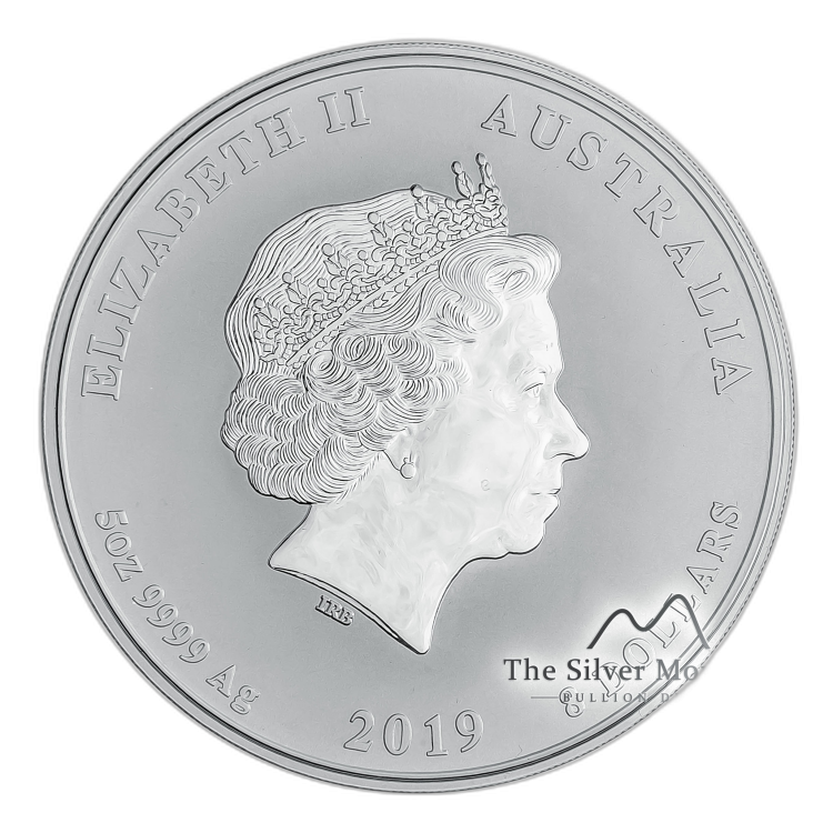 Zilveren Lunar munt jaar van het varken - 5 troy ounce 2019 perspectief 1