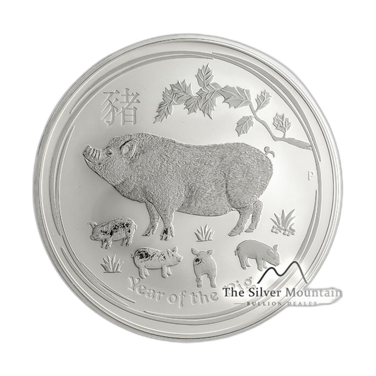 10 troy ounce zilveren Lunar munt 2019 - het jaar van het varken perspectief 2