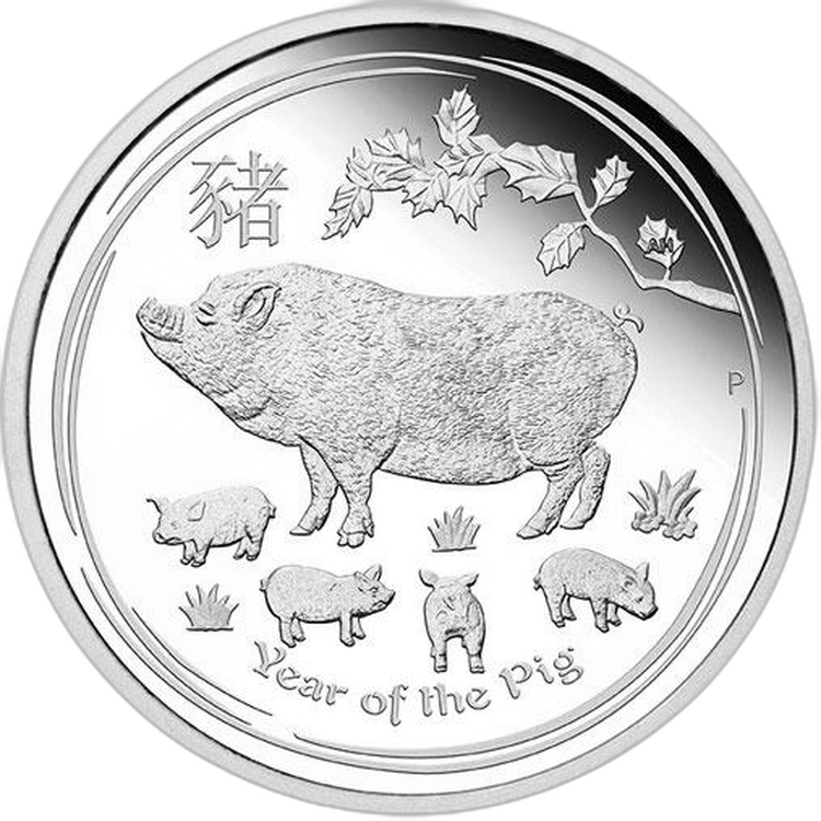 1 Troy ounce silver coin Lunar 2019 Proof angle 1