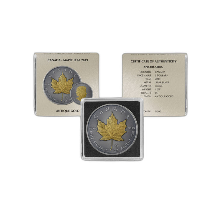 Zilveren munten set Antique + Gold Finish perspectief 5