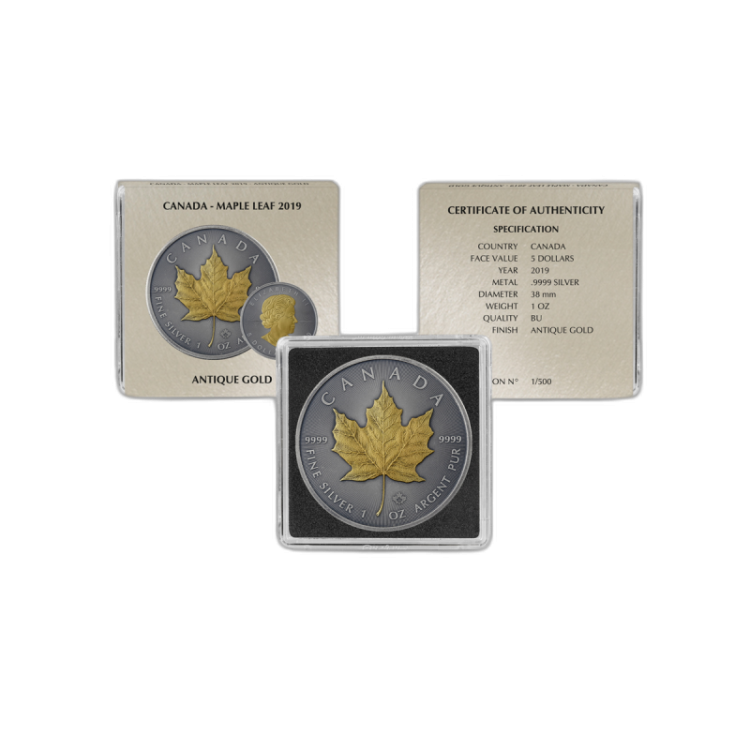 Zilveren munten set Antique + Gold Finish perspectief 5