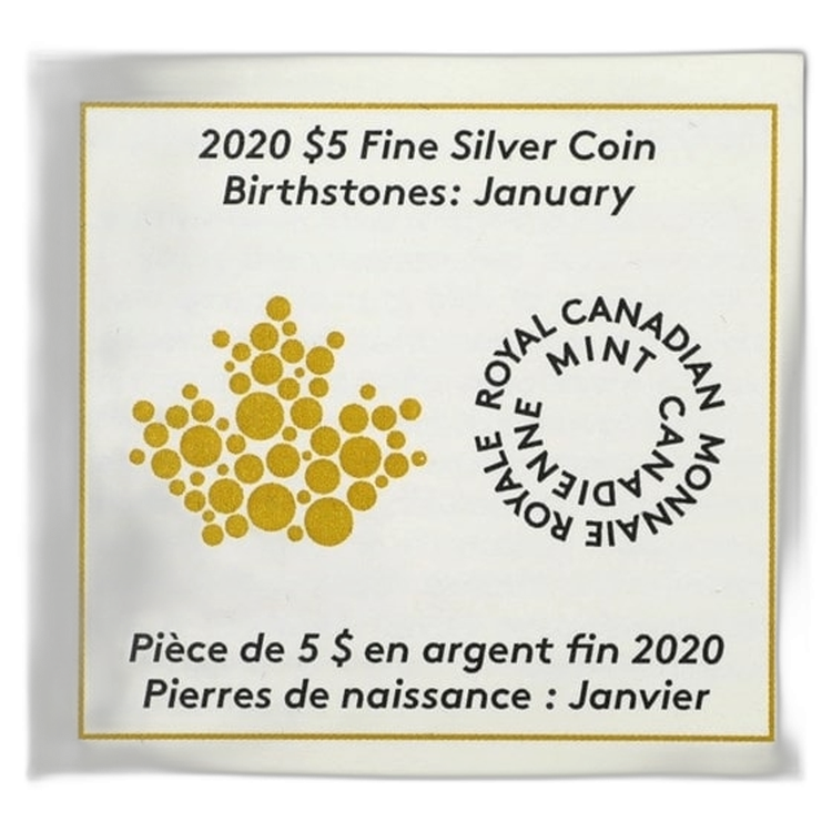 Zilveren munt Januari Birthstone Swarovski 2020 perspectief 1