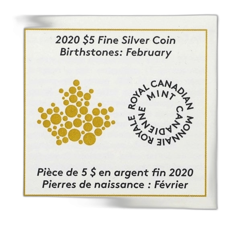 Zilveren munt Februari Birthstone Swarovski 2020 perspectief 1