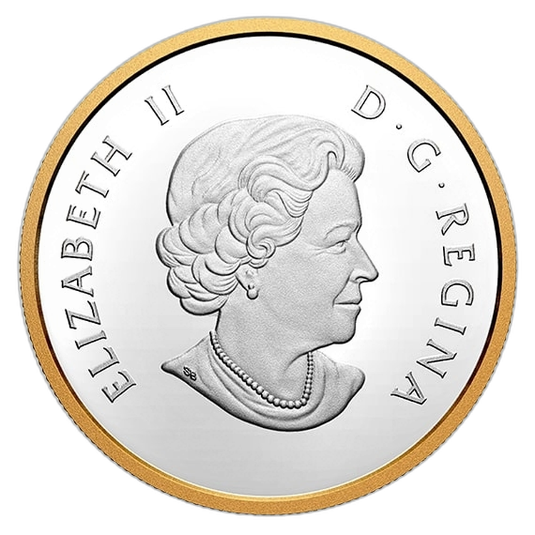 Silver coin polar bear 2020 proof back