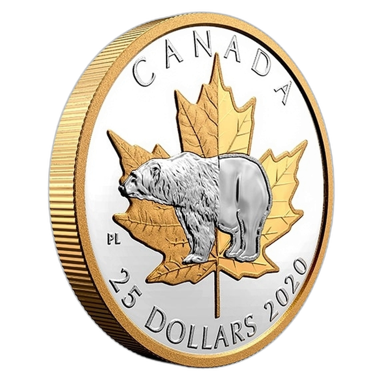 Silver coin polar bear 2020 proof angle 1