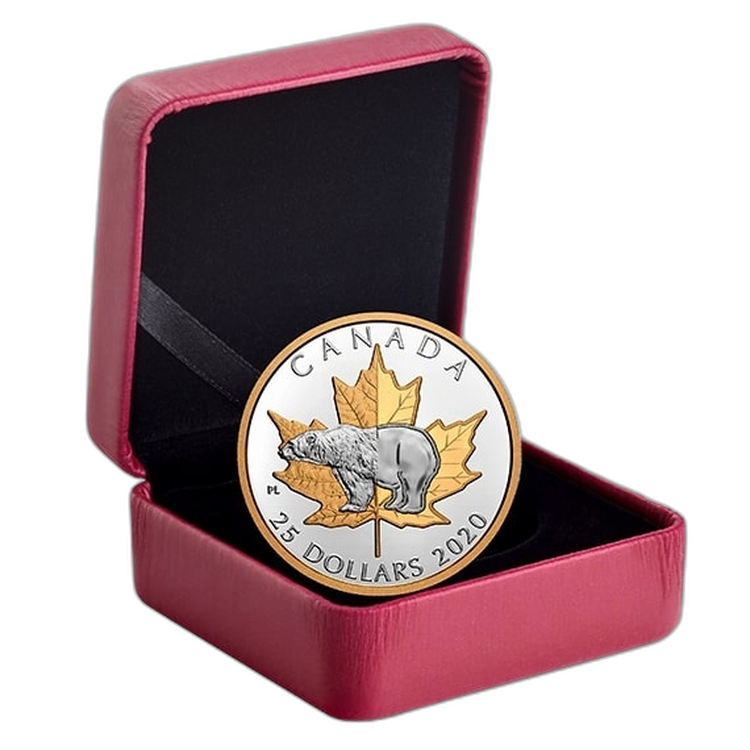 Silver coin polar bear 2020 proof angle 2