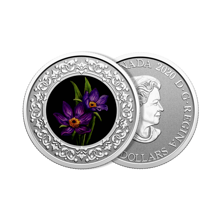 Zilveren munt Bloemenemblemen van Canada Manitoba Prairie Crocus perspectief 1