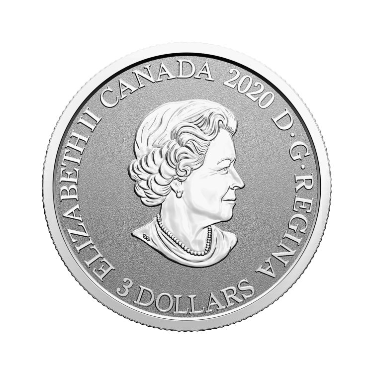 Zilveren munt Bloemenemblemen van Canada Purple Violet achterkant