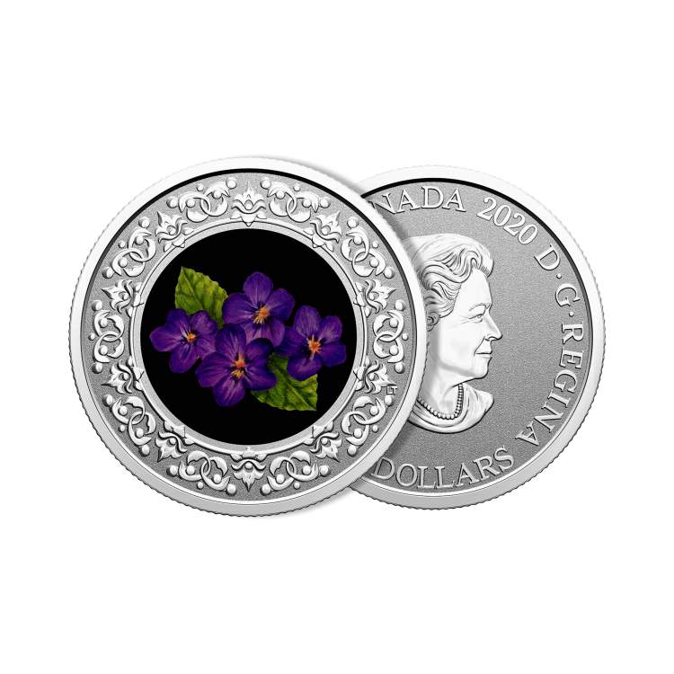 Zilveren munt Bloemenemblemen van Canada Purple Violet perspectief 1