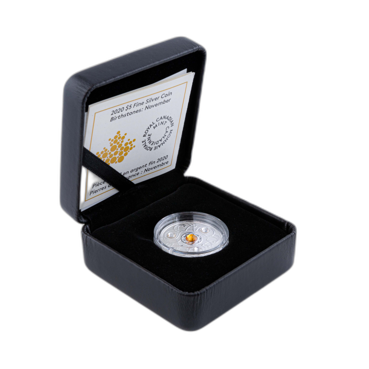 Zilveren munt november Birthstone Swarovski 2020 perspectief 3