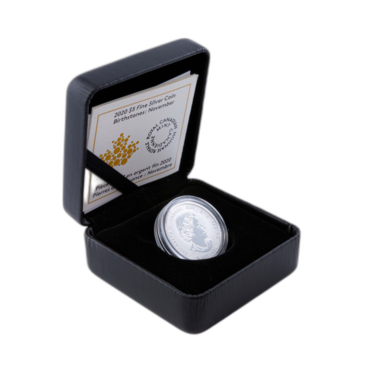 Zilveren munt november Birthstone Swarovski 2020 perspectief 4