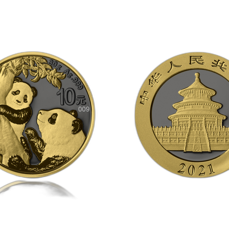 30 Gram zilveren munt Golden Ring - Panda 2021 achterkant