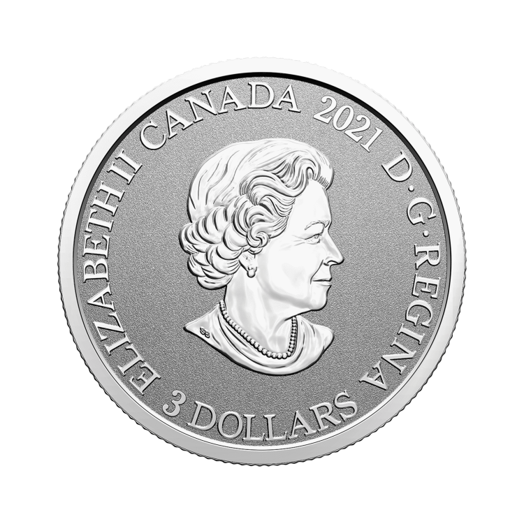 Silver coin Flower emblems of Canada Fireweed back