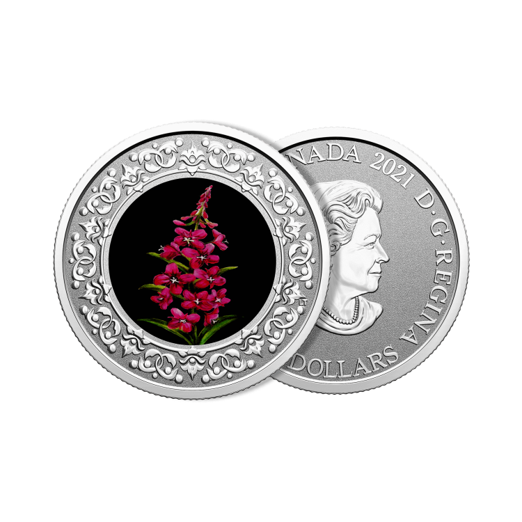 Silver coin Flower emblems of Canada Fireweed angle 1