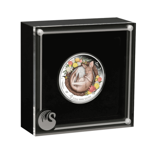 1/2 troy ounce silver coin kangaroo - Dreaming down under 2021 Proof front